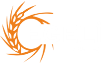 Egeli